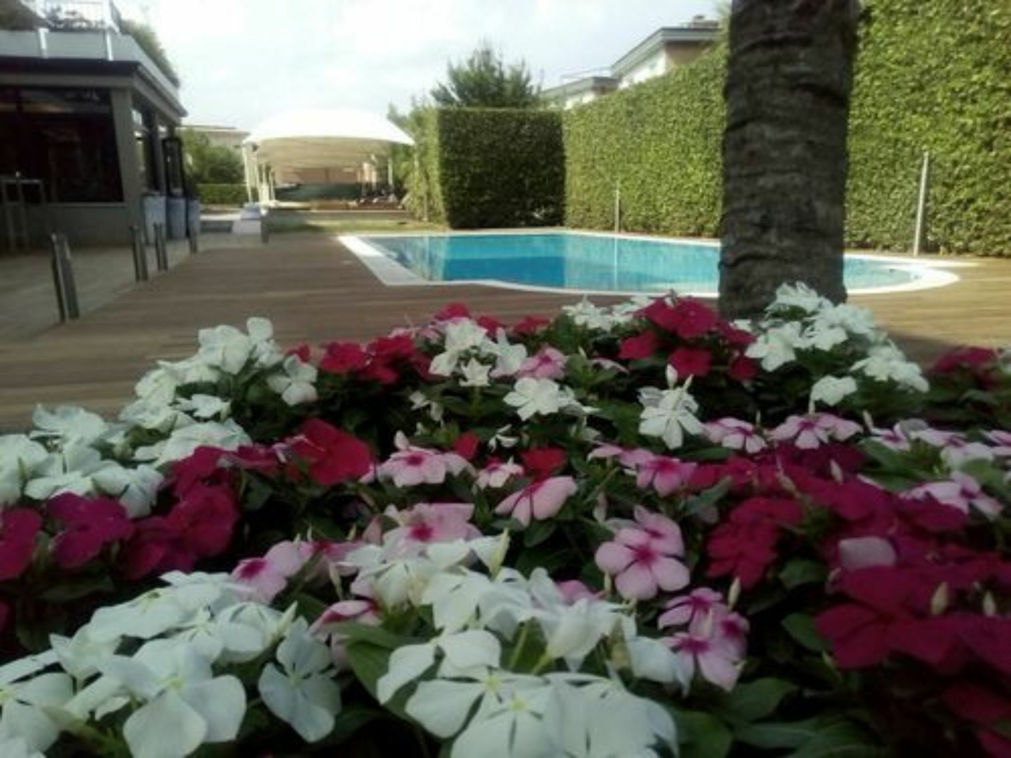 Hotel Palazzo Del Garda & Spa Дезенцано-дель-Гарда Екстер'єр фото